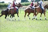 UKPA NC SAT_2498